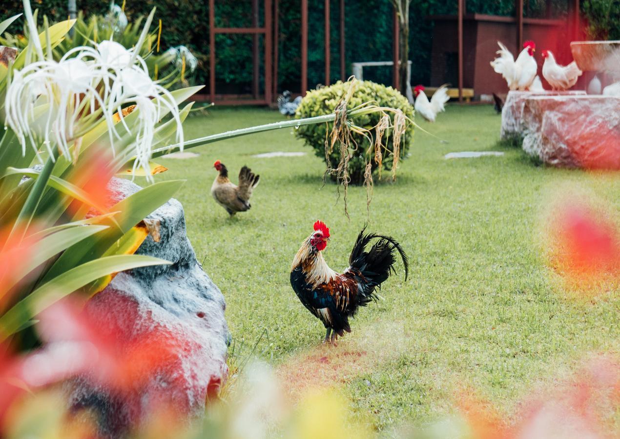 Rai Fahpratan Home And Garden Ban Pak Ngam  Εξωτερικό φωτογραφία